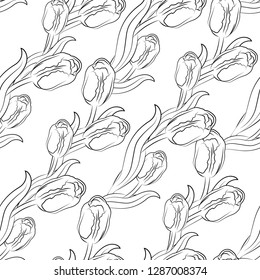 
vector illustration pattern tulips flowers