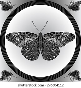 Vector illustration of the patterned butterflies in the frame with decorative abstract elements in the monochrome view. 