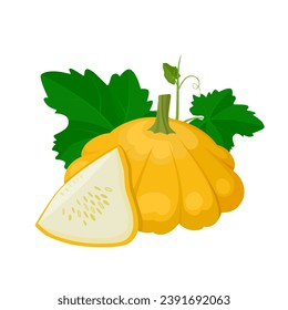 Ilustración vectorial, calabazas pattianas enteras y cortadas, con hojas verdes, aisladas en fondo blanco.