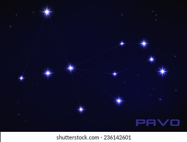 Vector illustration of Pavo constellation in blue 