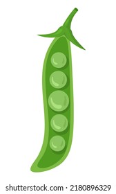 Vector illustration of pea pod isolated on white background. Healthy food or vegetarian and vegan theme. Fresh organic farm vegetables. 