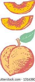 Vector illustration of peach