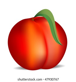 vector illustration of the peach