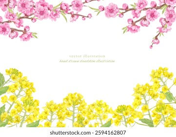 Vector illustration of peach blossoms and rape blossoms painted in watercolor