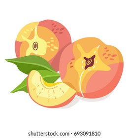 Vector illustration of peach composition isolated.