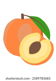  vector illustration of peach fruit