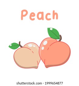 vector illustration of peach. fruit cartoon in simple and flat style. peach illustration with cute cartoon style, suitable for educating children about the introduction of fruits, for covers, etc.