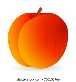 Vector illustration of peach isolated on white background