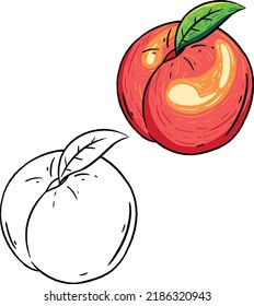 Ilustración vectorial de melocotones y contornos. Perfecto para la práctica de colorear, dibujar, imprimir, papel pintado, imprimir, tarjetas, etc.