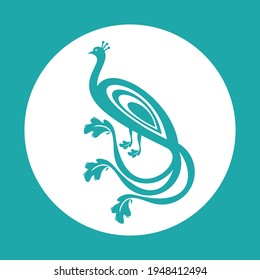 Vector illustration of peacock in color 