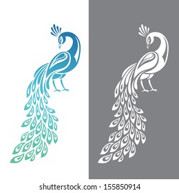 Vector illustration of peacock in color and monochrome variations