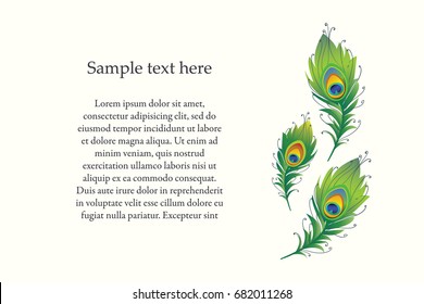Vector illustration of peacock feather.