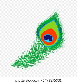 Vector illustration of peacock feather on transparent background