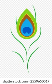 Vector illustration of peacock feather on transparent background