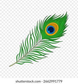 Ilustração vetorial da pena de pavão sobre fundo transparente