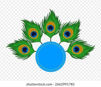 Vector illustration of Peacock feather pattern on transparent background