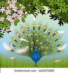 Vector illustration of peacock feathers tree with flowers a beautiful bird stands with its tail spread