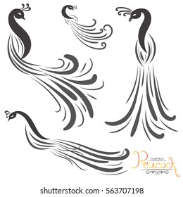 vector illustration of peacock isolated on white