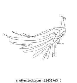 Vector illustration of a peacock in line art style