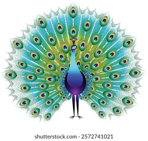 A vector illustration of a peacock with its majestic tail fully fanned out, showcasing vibrant blue, green, and yellow gold hues.The feature classic eye designs, symbolizing beauty and grace.