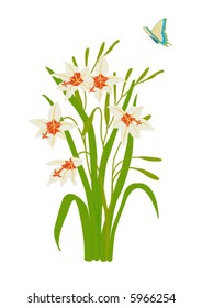 ilustración vectorial de la orquídea pavo real con mariposa