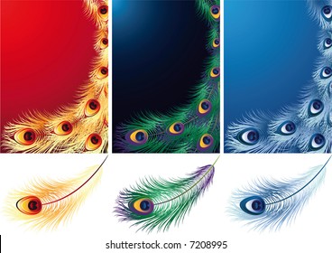 Vector illustration - peacock, phoenix and ice bird feather