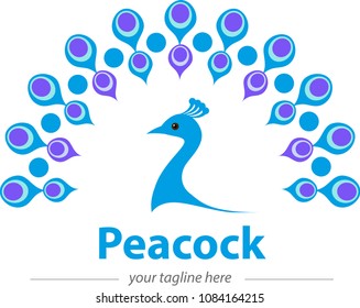 Vector illustration, peacock symbol or icon for corporate identity