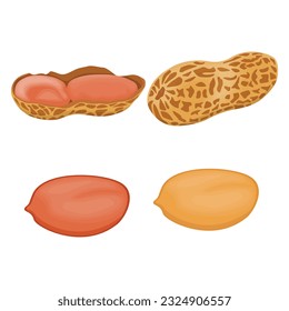 Vector illustration of peanut icon in cartoon flat style. Natural peanut food fat protein for healty life. Drawing nut for menu packaging advertising. Isolated on white background.