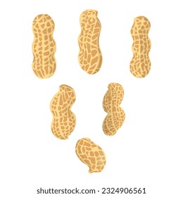 Ilustración vectorial del icono del maní en el estilo plano de la caricatura. Proteína natural de grasas alimenticias de cacahuete para la vida saludable. Huella de dibujo para publicidad de empaquetado de menús. Aislado sobre fondo blanco.