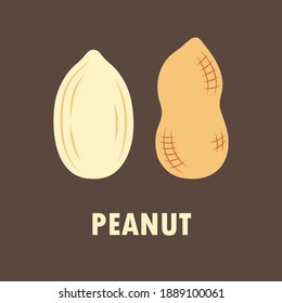 vector illustration of peanut isolated on brown background, flat design