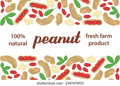 vector illustration of peanut and leaf design with lettering peanut background white and nut and text fresh farm product 100% natural EPS10