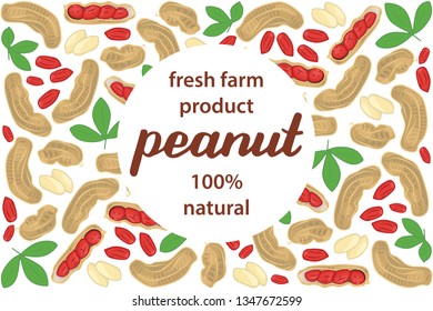 vector illustration of peanut and leaf design with lettering peanut background white and text fresh farm product 100% natural EPS10