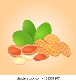 Vector illustration peanut nut. A handful of shelled peanuts nuts in shell and shelled, leaves. Tasty Image on beige background nuts for printing on packaging, advertising of healthy foods