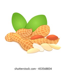 Vector illustration peanut nut. A handful of shelled peanuts nuts in shell and shelled, leaves. Tasty Image on white background nuts for printing on packaging, advertising of healthy foods
