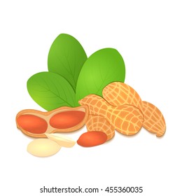Vector illustration peanut nut. A handful of shelled peanuts nuts in shell and shelled, leaves. Tasty Image on white background nuts for printing on packaging, advertising of healthy foods