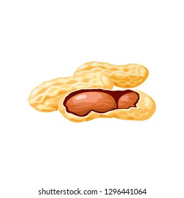 Vector illustration of a peanut peeled whole, cracked into halves. Food symbol collection. Whole nuts and peanut kernels. Nutrition and agriculture concept. Vector icon on the white background.