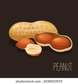 Vector illustration with peanut, whole in shell and open