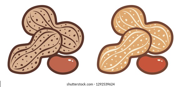 Vector illustration of peanuts. Flat vector icons of peanuts.