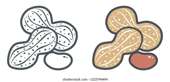 Vector illustration of peanuts. Flat vector icons of peanut