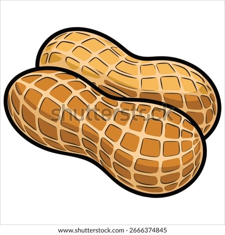 Vector illustration of peanuts isolated on white background. Perfect for snack themes, healthy eating, and food product visuals.