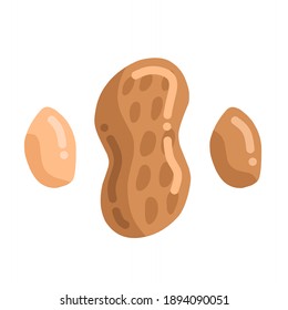 vector illustration of peanuts.  minimalist flat design