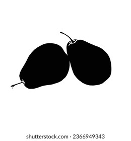 Vector illustration of pear fruit, Organic fresh pears isolated on white.