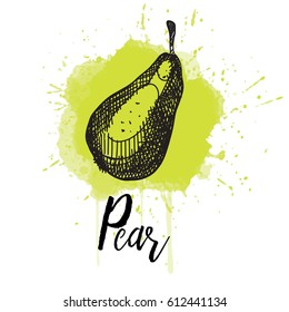 Vector illustration of a pear Hand drawn graphics