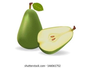 vector illustration . Pear on white background