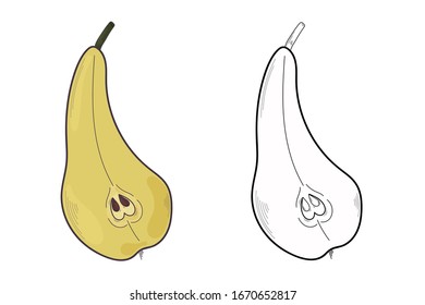 Vector illustration of pear on white background. Organic Vegetarian Products. Set of pear symbols applicable to restaurant or package menu, labels, poster, print.Colored pears on a white background.