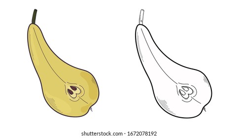 Vektorillustration-Illustration von Birnen auf weißem Hintergrund. Bio-vegetarische Produkte. Eine Reihe von Birnensymbole, die auf Restaurant- oder Paketmenüs, Etiketten, Plakate, Print.Farbige Birnen auf weißem Hintergrund anwendbar sind.