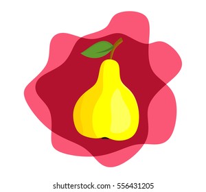 Vector illustration of pear on white background. 
