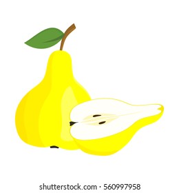 Vector illustration of pear on white background. Pear icon.