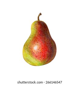 Vector illustration. A pear in red and green colors. Isolated fruit drawn with colored pencils. Food for a healthy diet. Fresh delicious pear for interior decoration, menus, advertising.