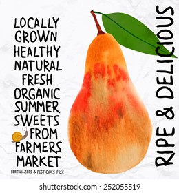 Vector illustration of pear in watercolor, hand drawn in in 1950s or 1960s style. Concept for farmers market, organic food, natural product design, soap package, herbal tea, etc.